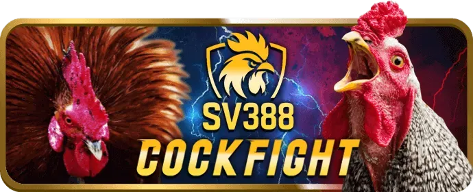 Hướng dẫn chơi bắn cá rr8 bet